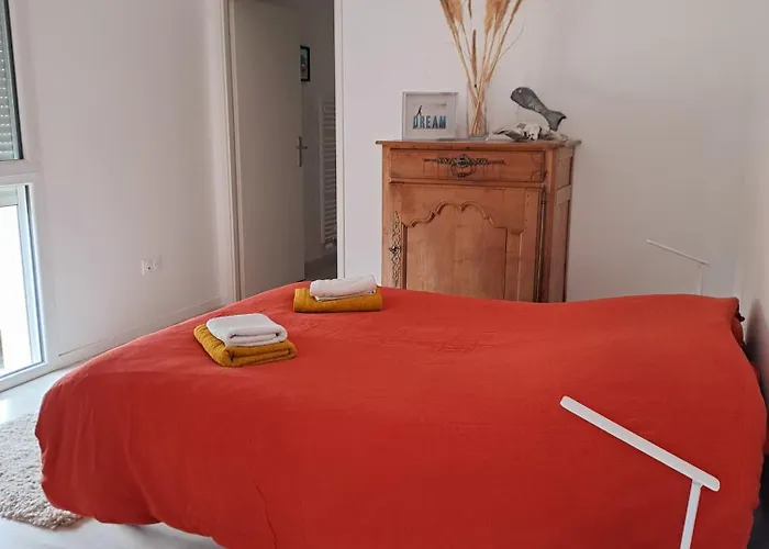 Logement Neuf Dans Residence Calme Parking Gratuit
